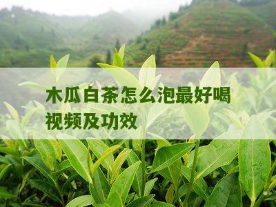 木瓜白茶怎么泡最好喝视频及功效