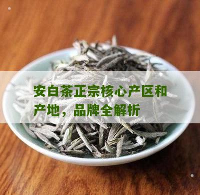 安白茶正宗核心产区和产地，品牌全解析