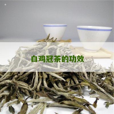 白鸡冠茶的功效