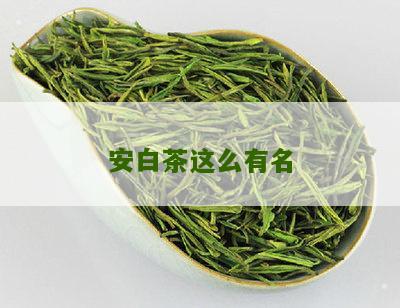 安白茶这么有名