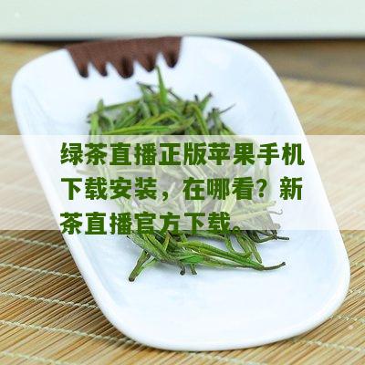 绿茶直播正版苹果手机下载安装，在哪看？新茶直播官方下载。