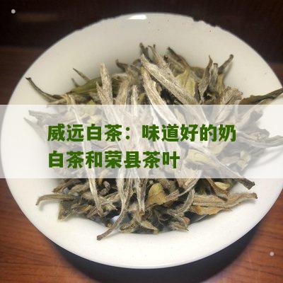 威远白茶：味道好的奶白茶和荣县茶叶