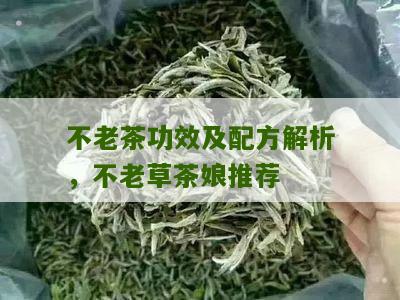 不老茶功效及配方解析，不老草茶娘推荐