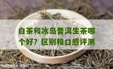 白茶和冰岛普洱生茶哪个好？区别和口感评测