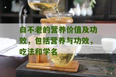 白不老的营养价值及功效，包括营养与功效，吃法和学名