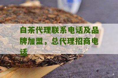 白茶代理联系电话及品牌加盟，总代理招商电话