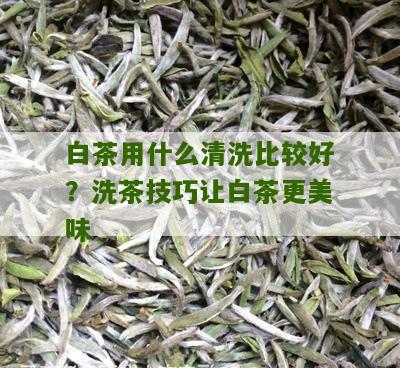 白茶用什么清洗比较好？洗茶技巧让白茶更美味