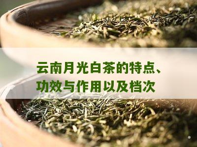 云南月光白茶的特点、功效与作用以及档次