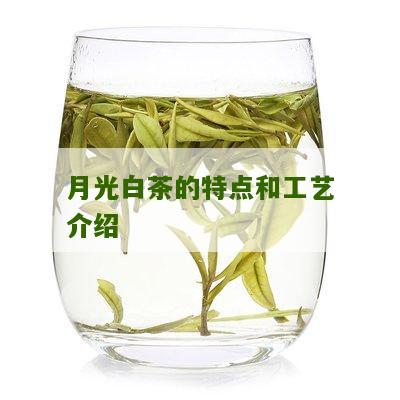 月光白茶的特点和工艺介绍