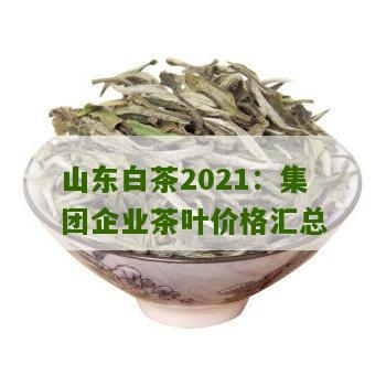 山东白茶2021：集团企业茶叶价格汇总