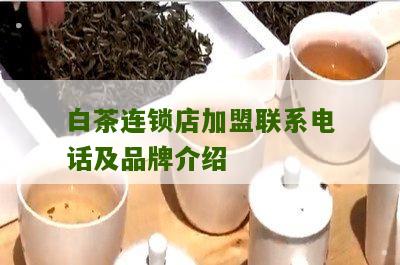 白茶连锁店加盟联系电话及品牌介绍