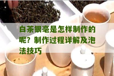 白茶银毫是怎样制作的呢？制作过程详解及泡法技巧