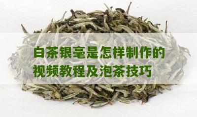 白茶银毫是怎样制作的视频教程及泡茶技巧