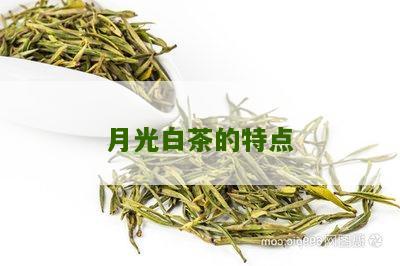 月光白茶的特点