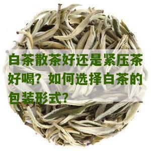 白茶散茶好还是紧压茶好喝？如何选择白茶的包装形式？