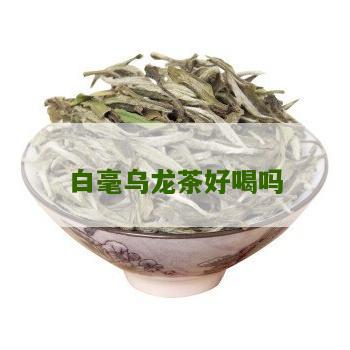 白毫乌龙茶好喝吗