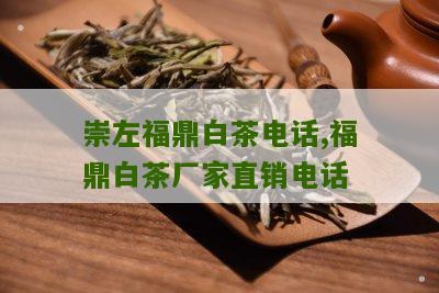 崇左福鼎白茶电话,福鼎白茶厂家直销电话