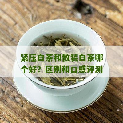 紧压白茶和散装白茶哪个好？区别和口感评测