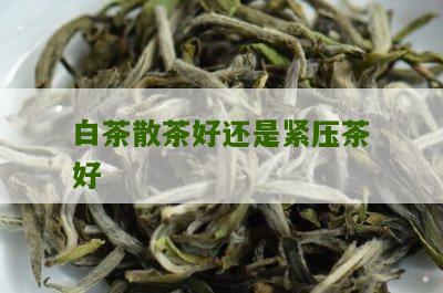 白茶散茶好还是紧压茶好