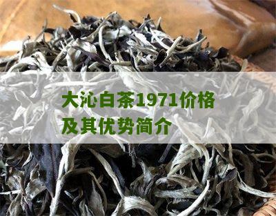 大沁白茶1971价格及其优势简介