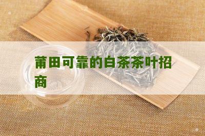 莆田可靠的白茶茶叶招商