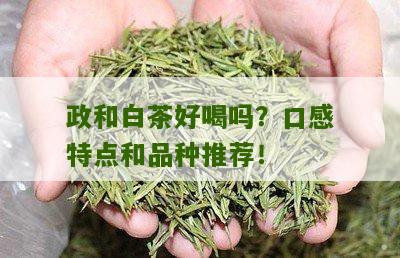 政和白茶好喝吗？口感特点和品种推荐！