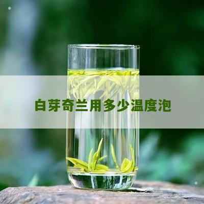 白芽奇兰用多少温度泡