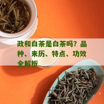 政和白茶是白茶吗？品种、来历、特点、功效全解析