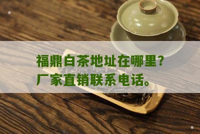 福鼎白茶地址在哪里？厂家直销联系电话。