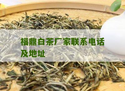 福鼎白茶厂家联系电话及地址