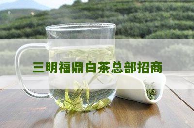 三明福鼎白茶总部招商