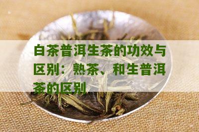 白茶普洱生茶的功效与区别：熟茶、和生普洱茶的区别