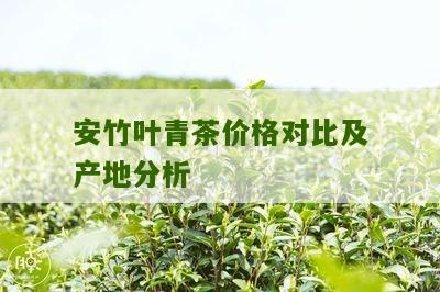 安竹叶青茶价格对比及产地分析