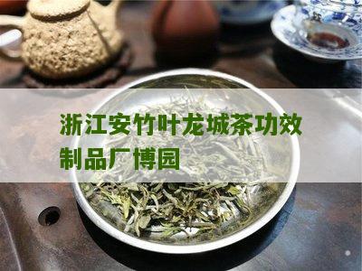 浙江安竹叶龙城茶功效制品厂博园