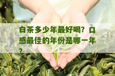 白茶多少年最好喝？口感最佳的年份是哪一年？