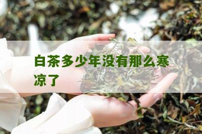 白茶多少年没有那么寒凉了