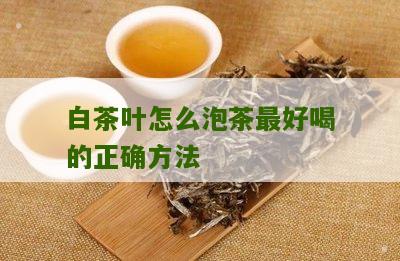 白茶叶怎么泡茶最好喝的正确方法