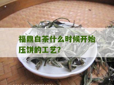 福鼎白茶什么时候开始压饼的工艺？