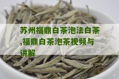 苏州福鼎白茶泡法白茶,福鼎白茶泡茶视频与讲解