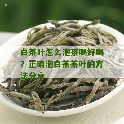 白茶叶怎么泡茶喝好喝？正确泡白茶茶叶的方法分享