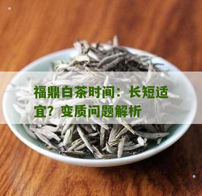 福鼎白茶时间：长短适宜？变质问题解析