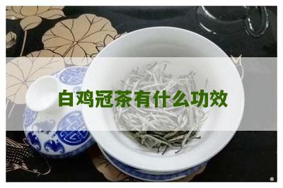 白鸡冠茶有什么功效