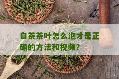 白茶茶叶怎么泡才是正确的方法和视频？