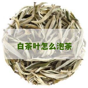 白茶叶怎么泡茶