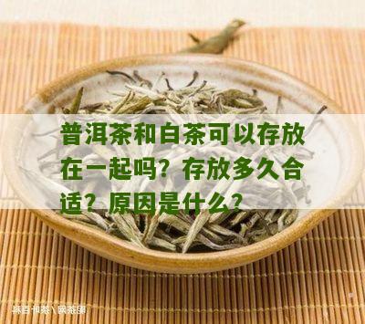 普洱茶和白茶可以存放在一起吗？存放多久合适？原因是什么？