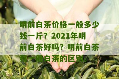 明前白茶价格一般多少钱一斤？2021年明前白茶好吗？明前白茶和一般白茶的区别。