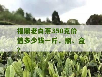 福鼎老白茶350克价值多少钱一斤、瓶、盒？