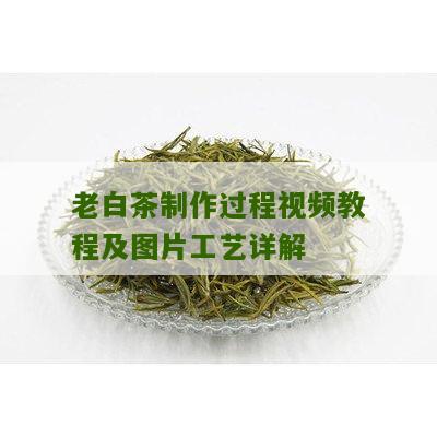 老白茶制作过程视频教程及图片工艺详解