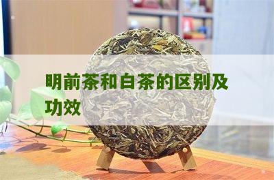 明前茶和白茶的区别及功效