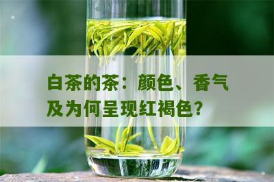 白茶的茶：颜色、香气及为何呈现红褐色？